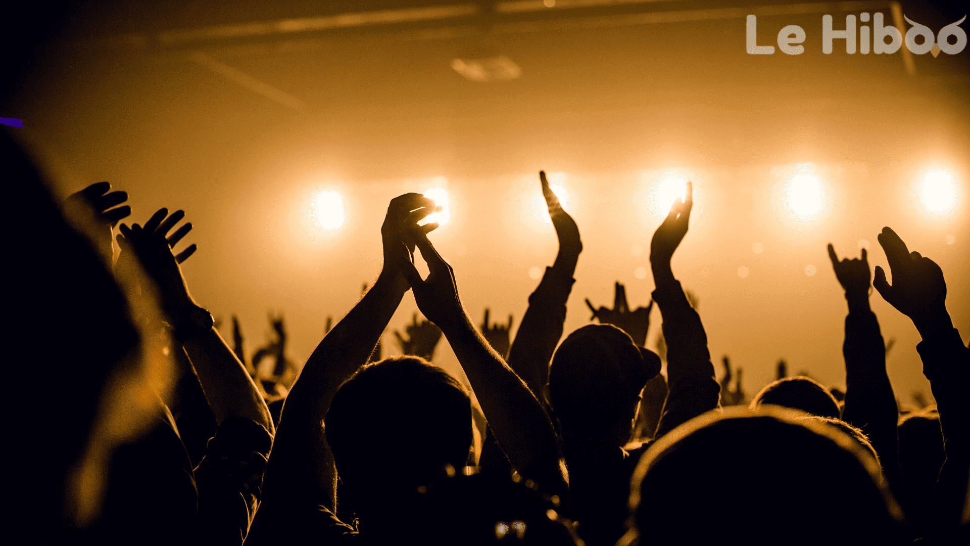 concert indoor concert indoor