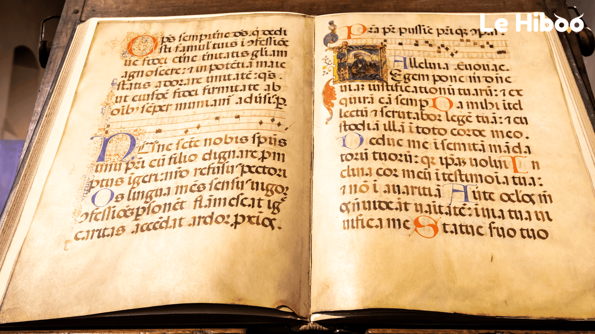 manuscrit moyen-âge avec illustrations colorées enluminure manuscrit moyen-âge avec illustrations colorées enluminure