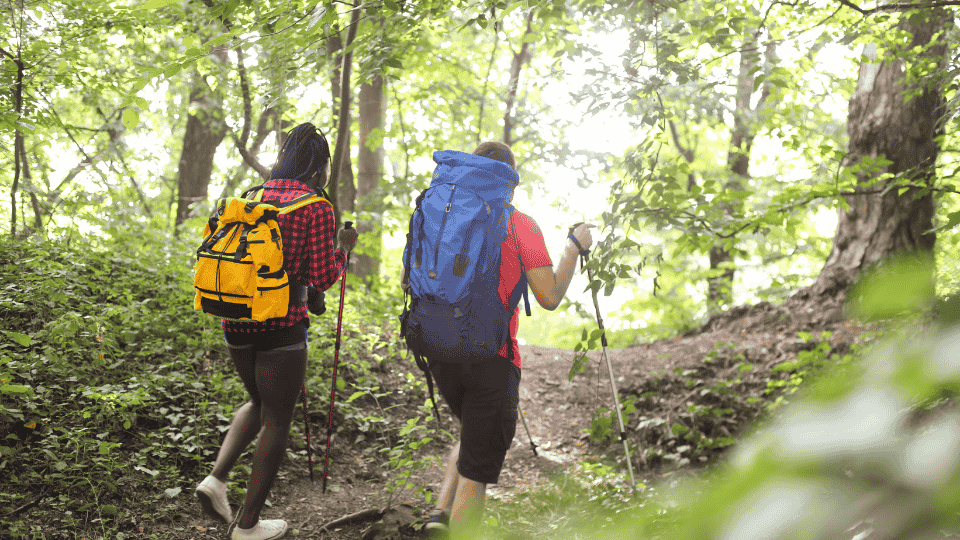 Randonnée en foret